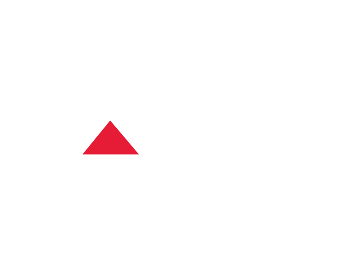 A-One Insurance Group Logo