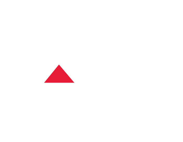 AOIG_700 A-One Insurance Group Logo