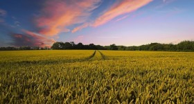 agricultural - AOIG Agricultural Insurance