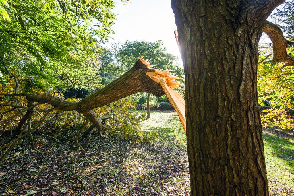 Storm Photo A-One Insurance Group Storm