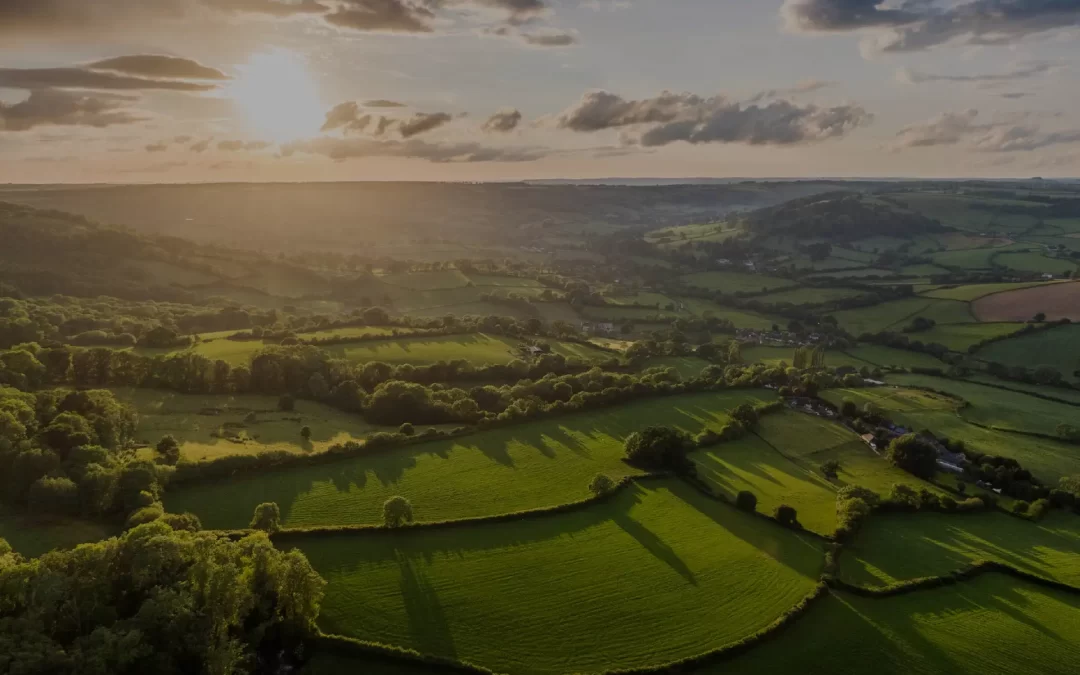 A-One Insurance Dorset