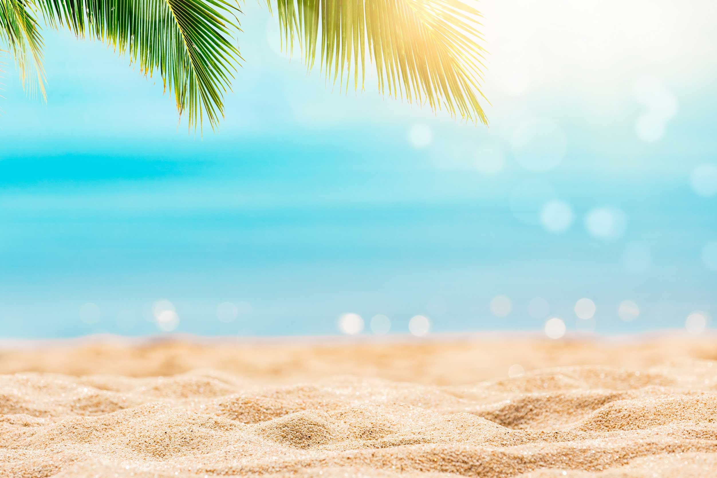 summer-scene D&O Insurance for Residents